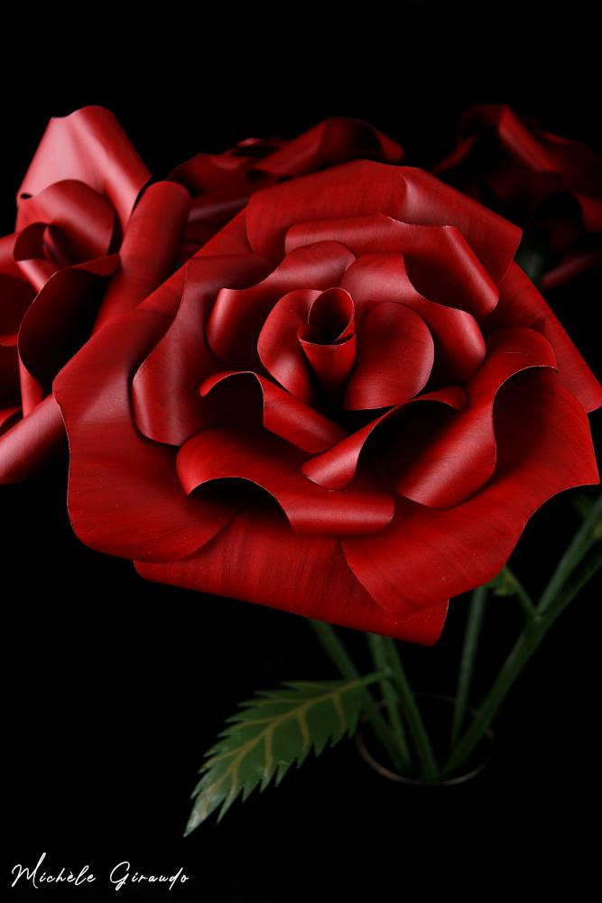 6 roses aimantees en papier et papier mache par michele giraudo p