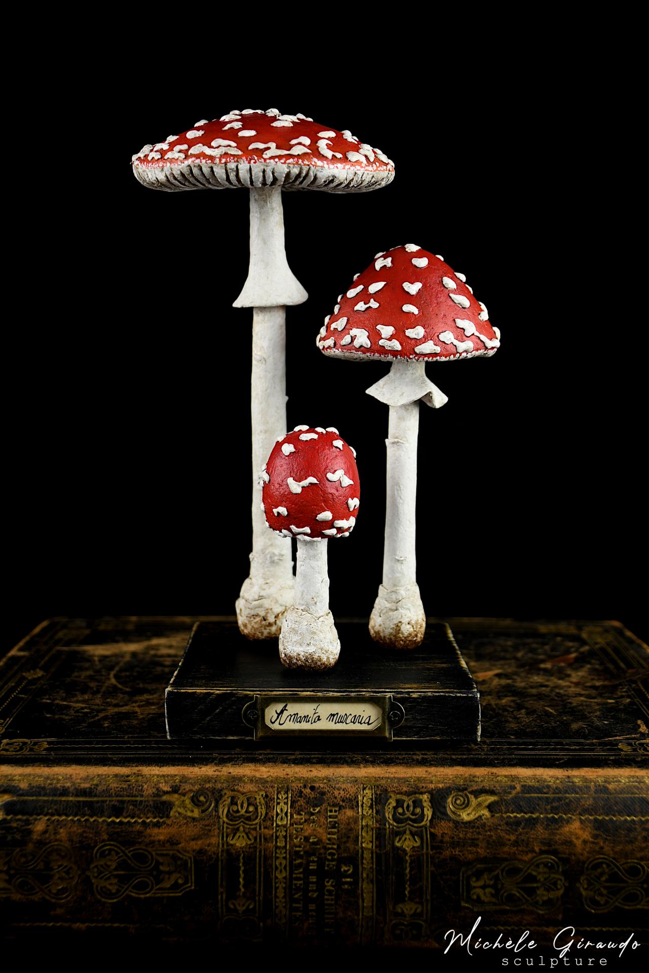 Amanita muscaria par michele giraudo