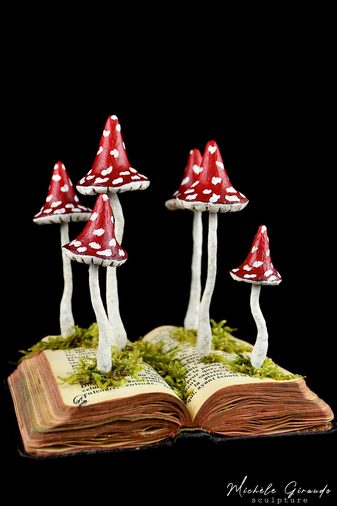 Amanitum misselyum n 2 par michele giraudo