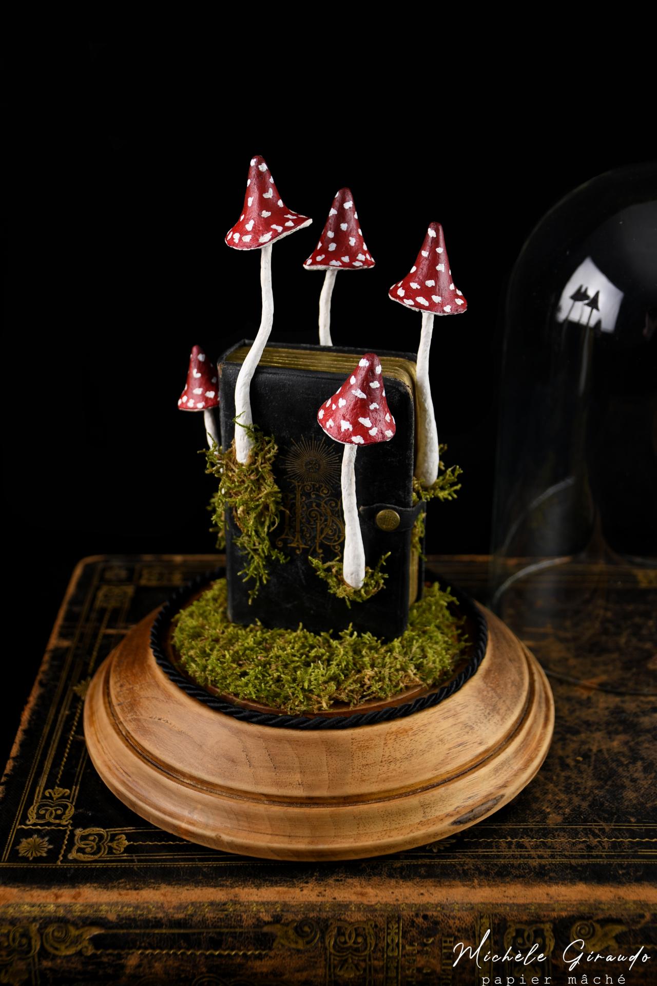 Amanitum misselyum n 3 par michele giraudo