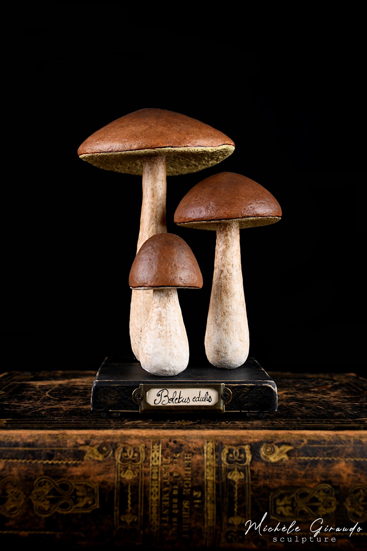 Boletus edulis par michele giraudo
