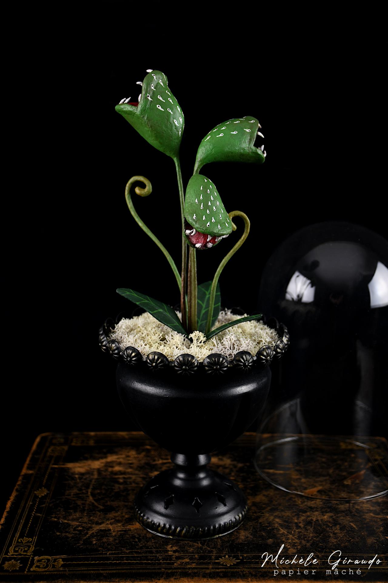 Carnivora en papier mache par michele giraudo