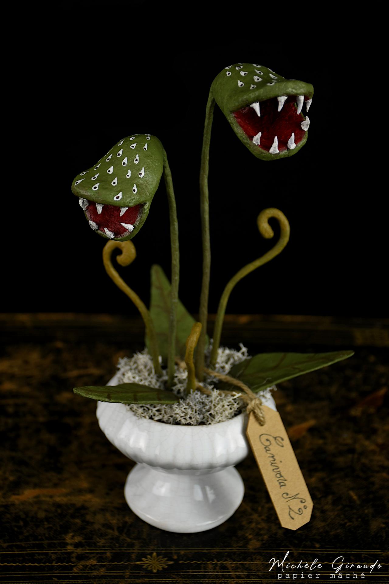 Carnivora n 2 par michele giraudo