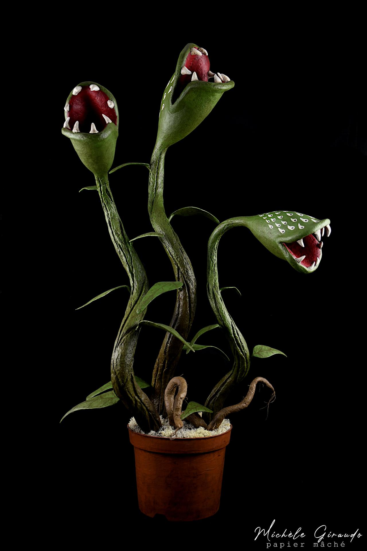 Carnivora n 3 la geante par michele giraudo