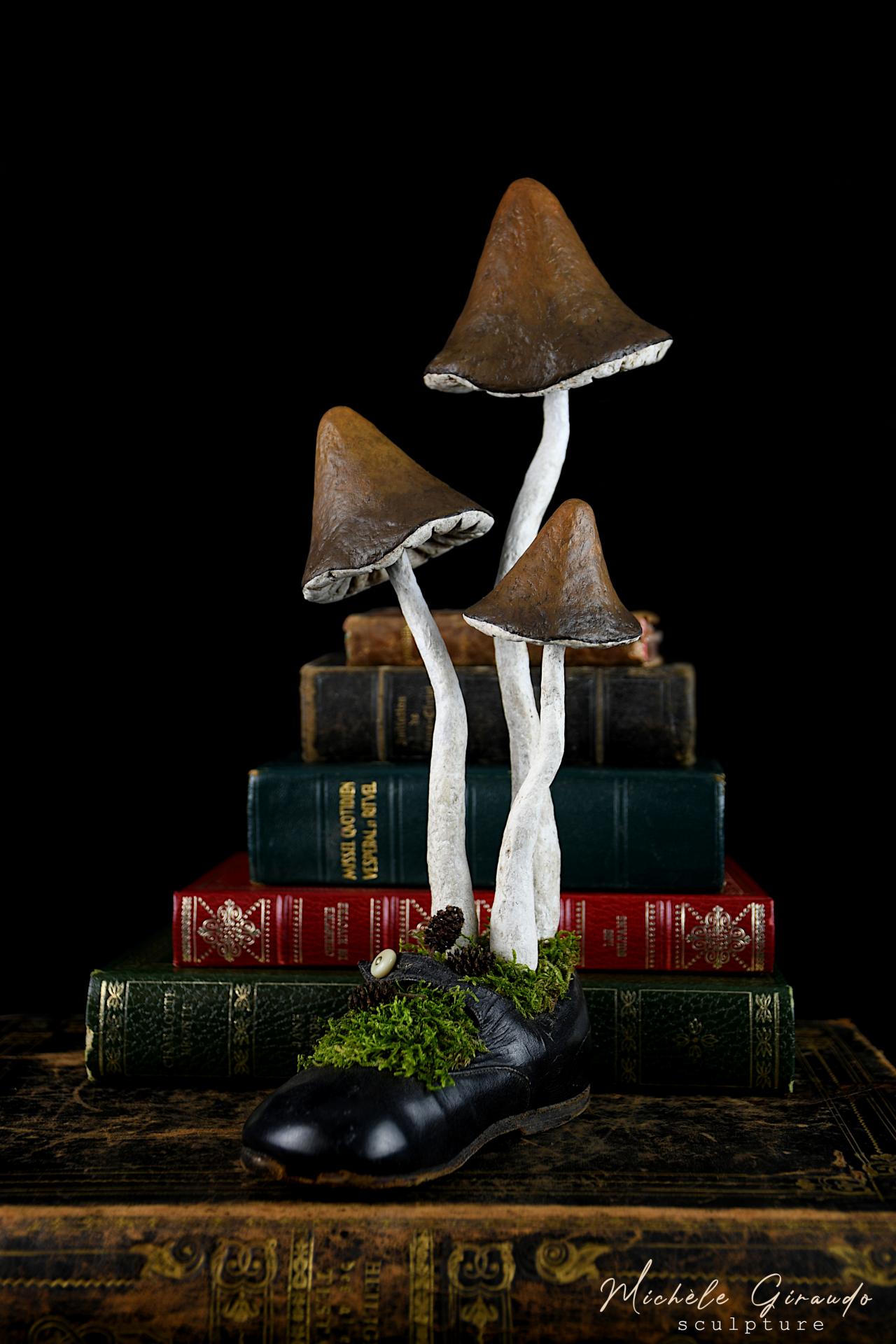 Chaussure d alice n 1 par michele giraudo