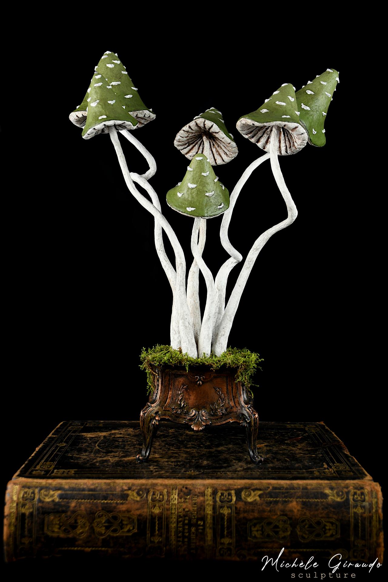 Le coffre aux champignons par michele giraudo