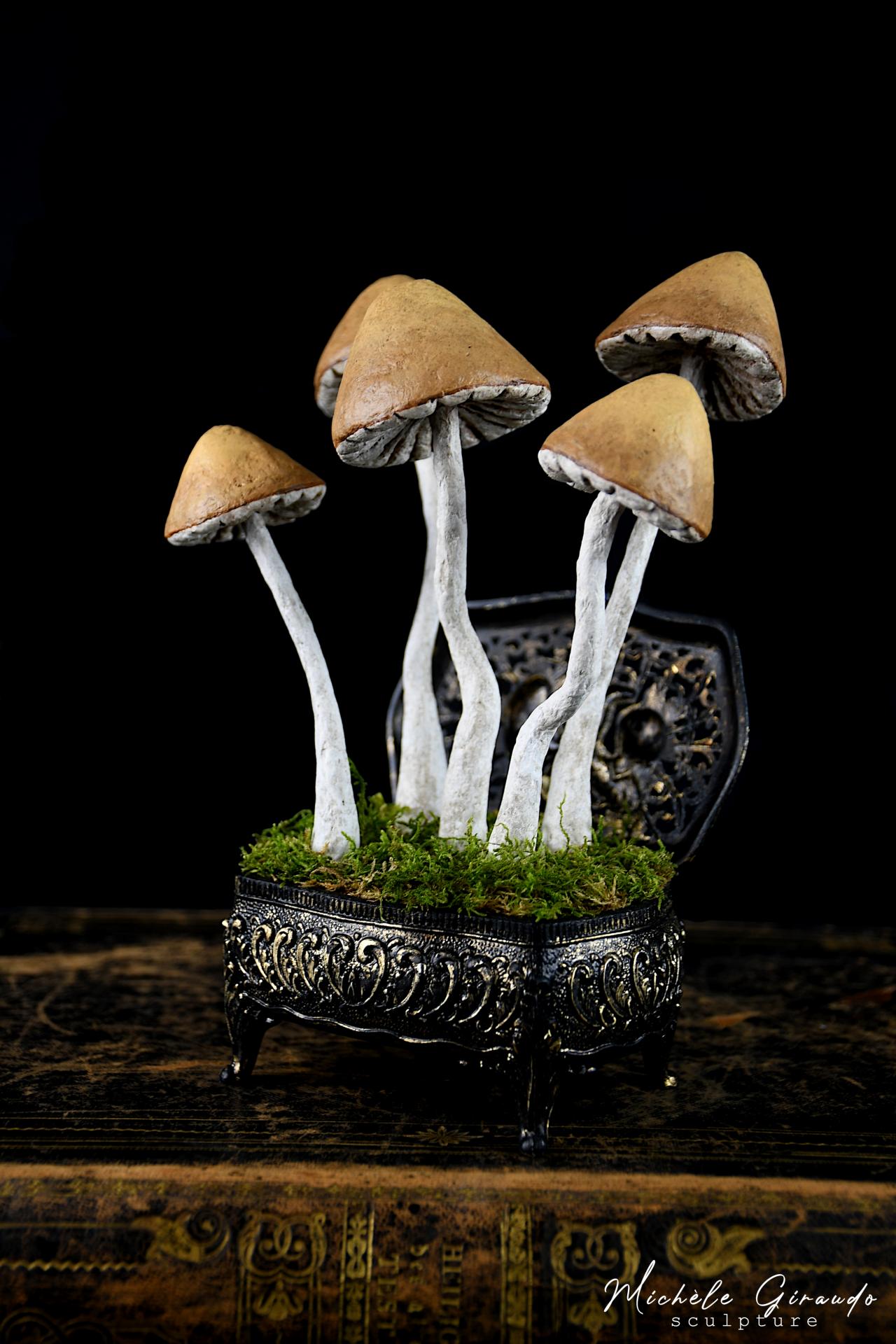 Le coffret aux champignons par michele giraudo