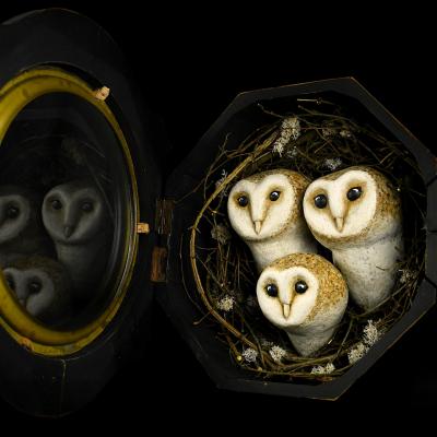Les curieuses en papier mache par mg c