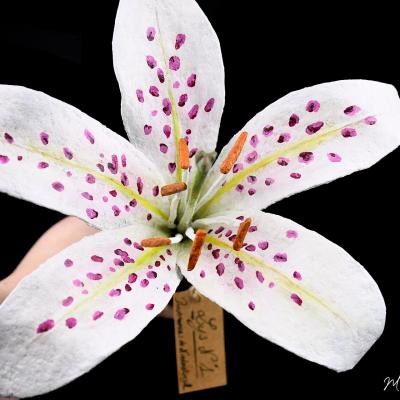Lys n 1 par michele giraudo