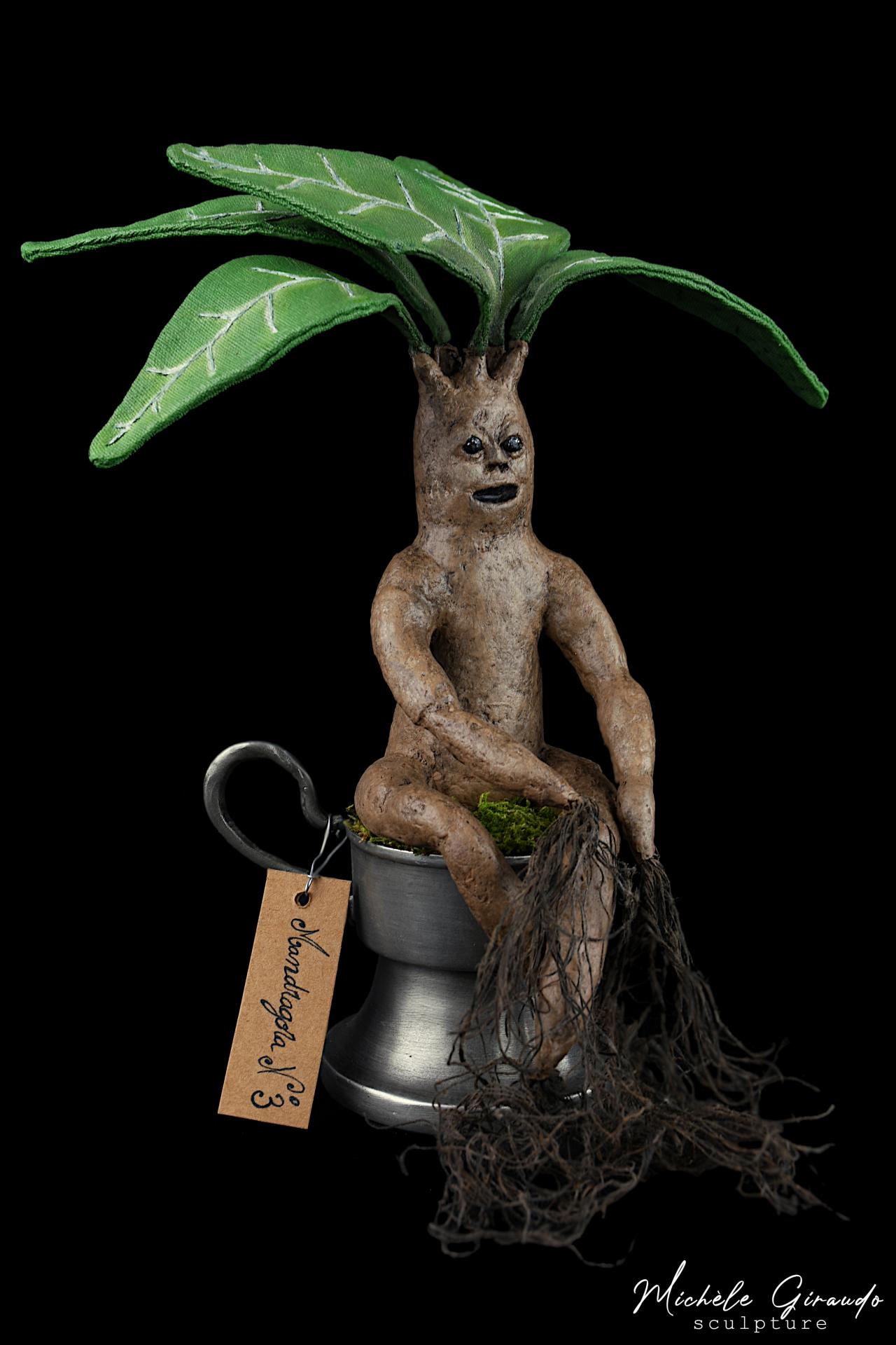 Mandragora n 3