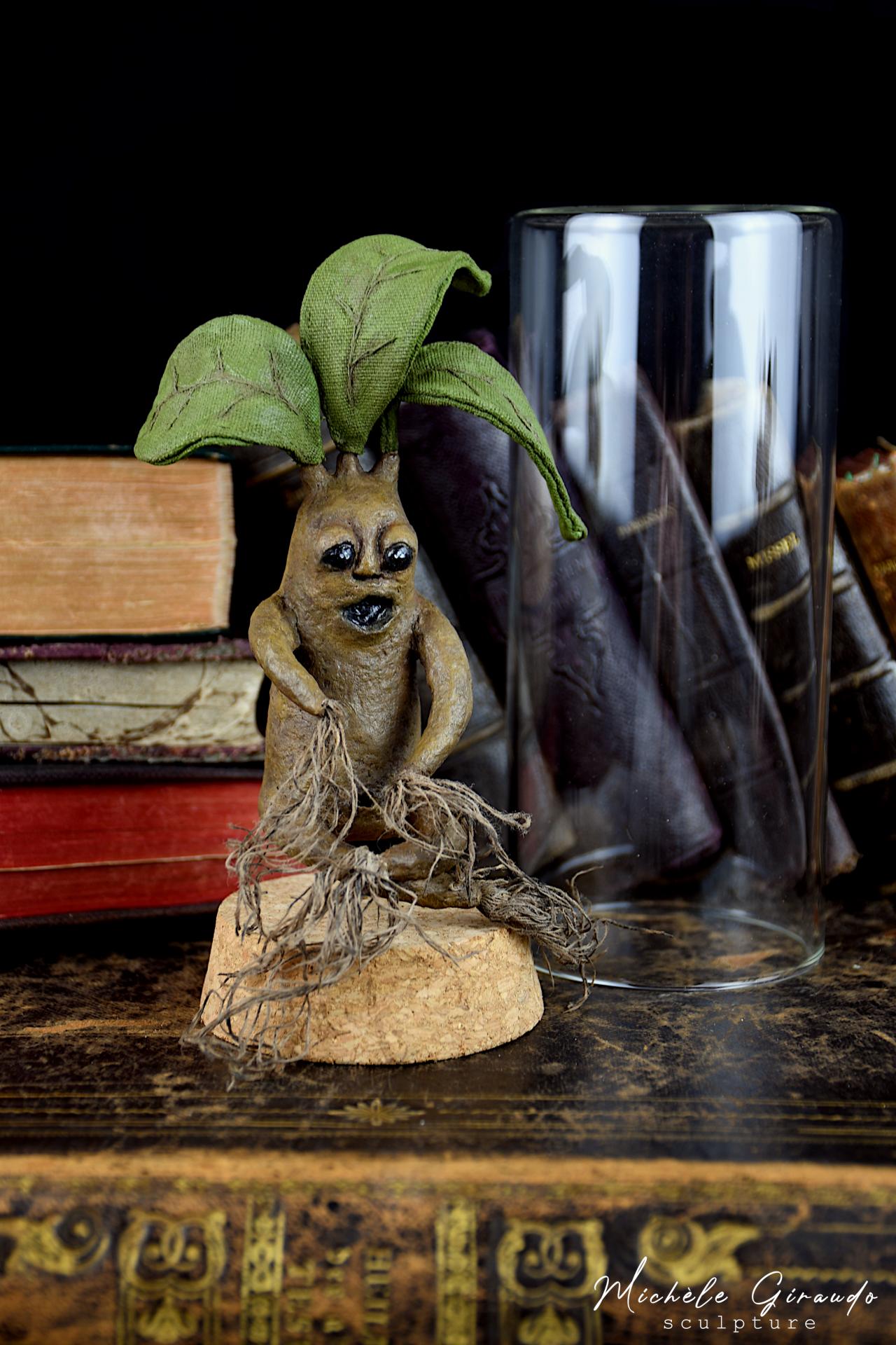 Mandragore n 5 en papier mache par michele giraudo
