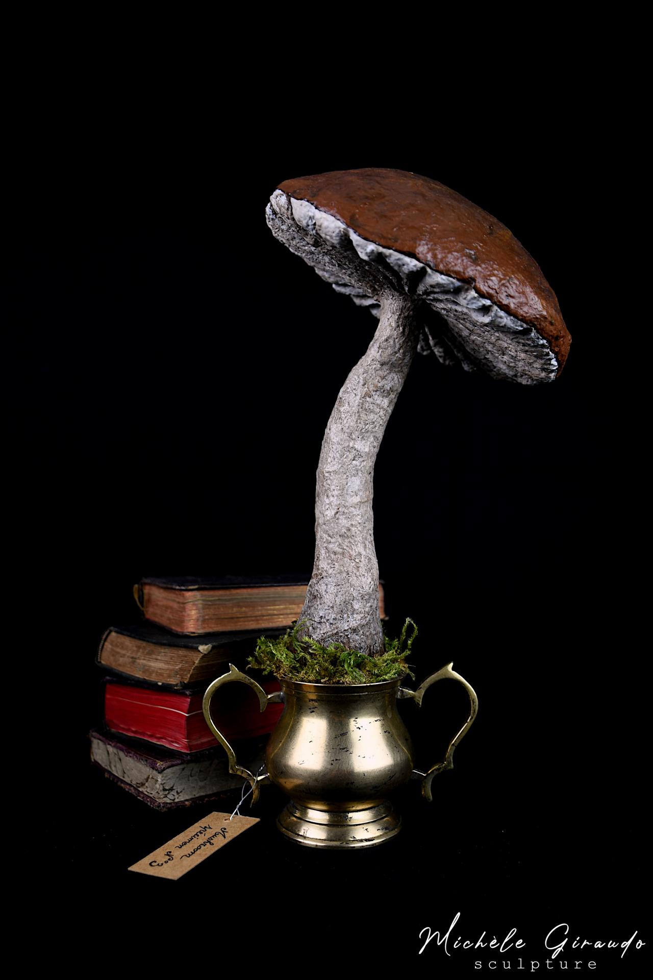Mushroom specimen n 3 de michele giraudo