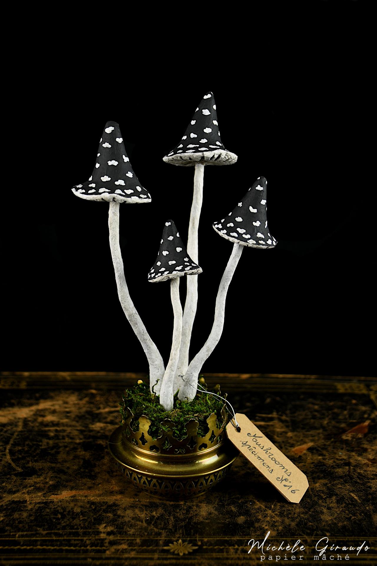 Mushrooms specimens n 13 par michele giraudo 1