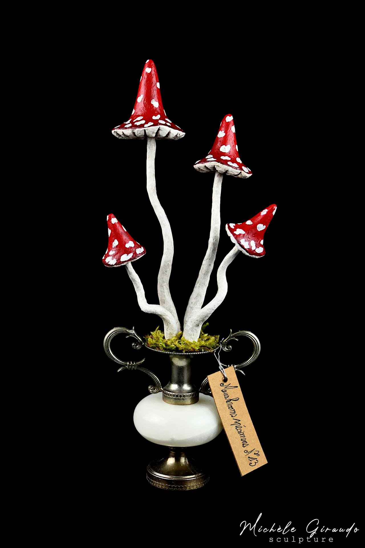 Mushrooms specimens n 13 par michele giraudo