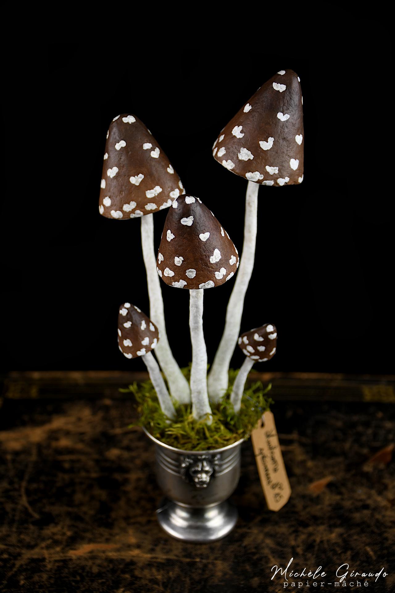 Mushrooms specimens n 15 par michele giraudo 