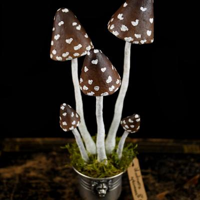 Mushrooms specimens n 15 par michele giraudo