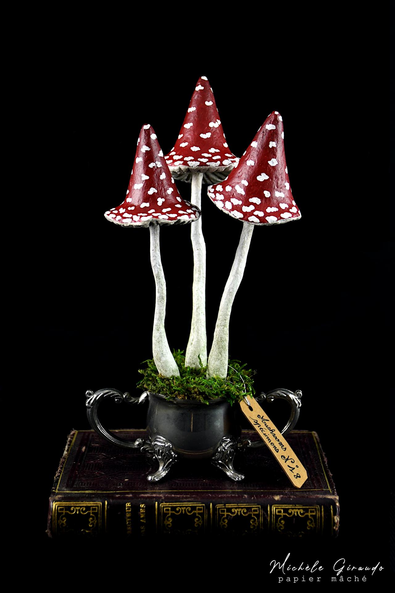 Mushrooms specimens n 18 par michele giraudo