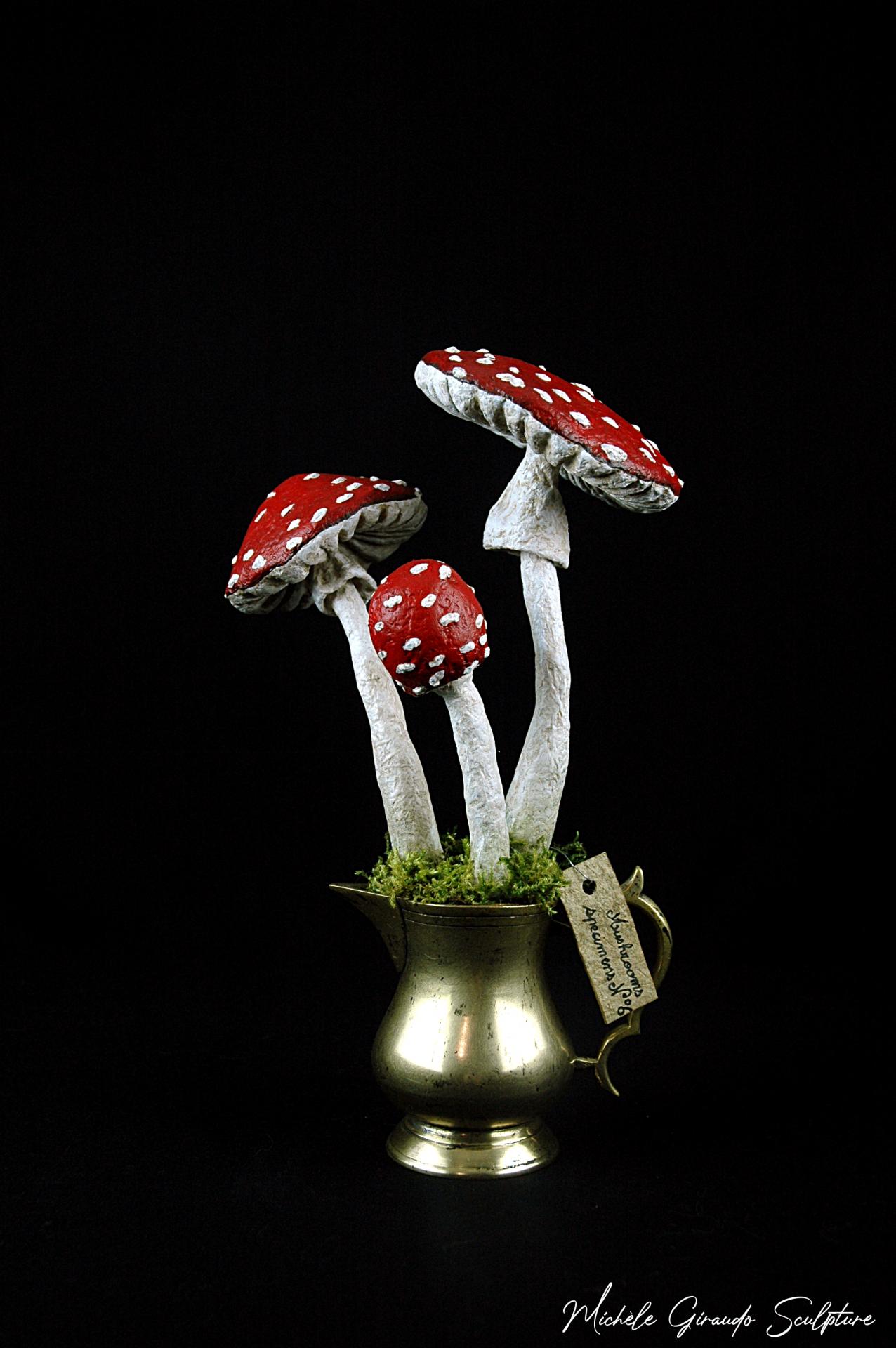 Mushrooms specimens n 6 de michele giraudo
