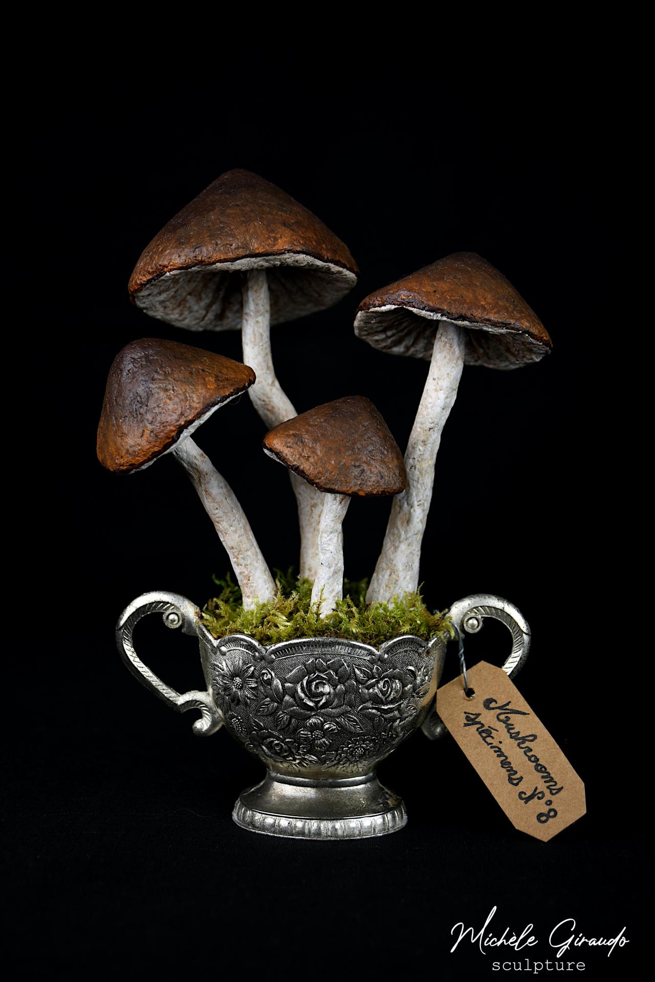 Mushrooms specimens n 8 sculpture de michele giraudo