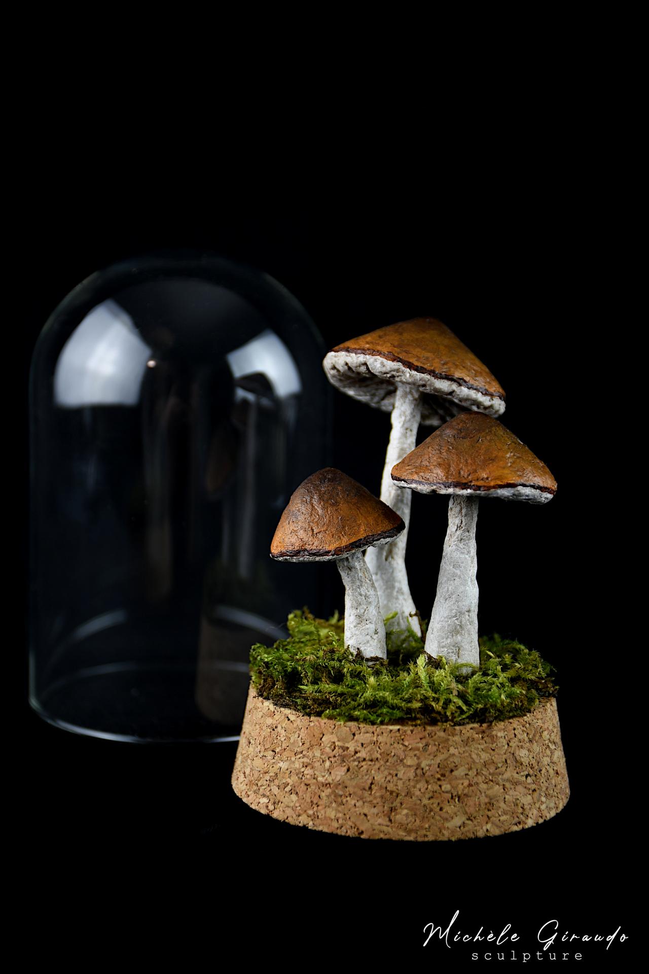 Petite curiosite sous verre n 3 par michele giraudo
