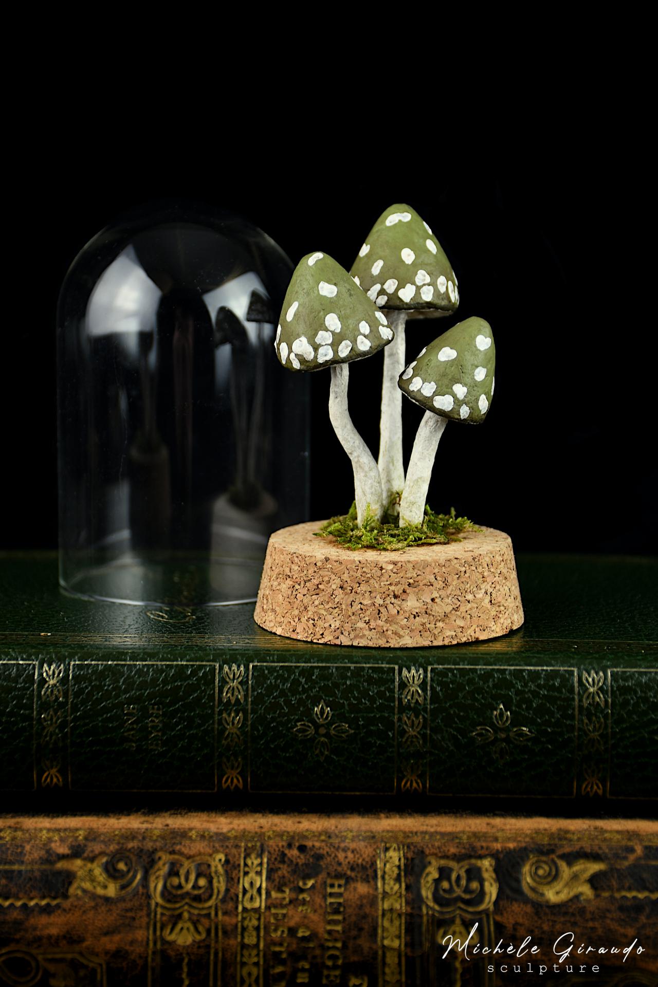 Petite curiosite sous verre n 4