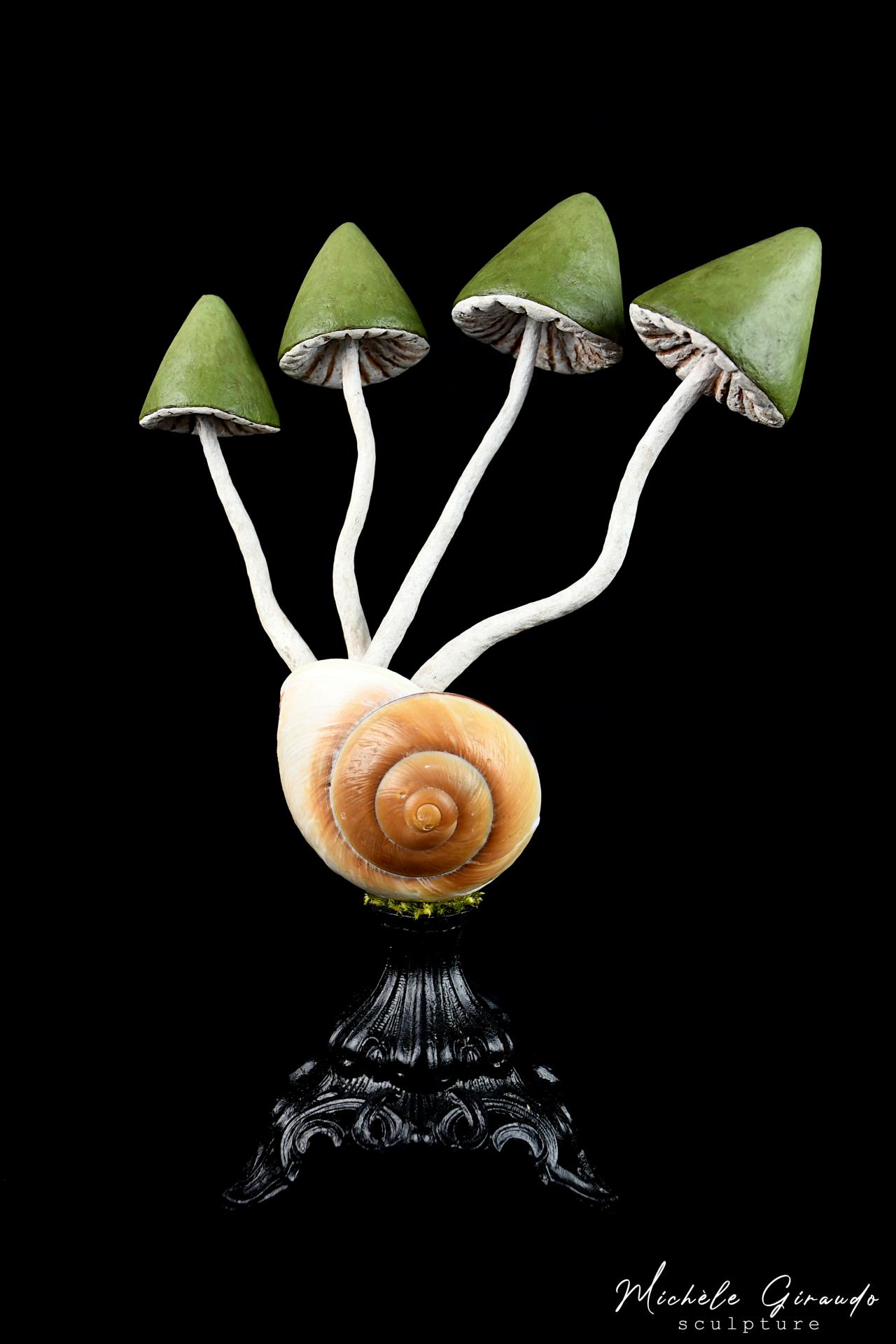 Ryssota mushrooms n 1 par michele giraudo