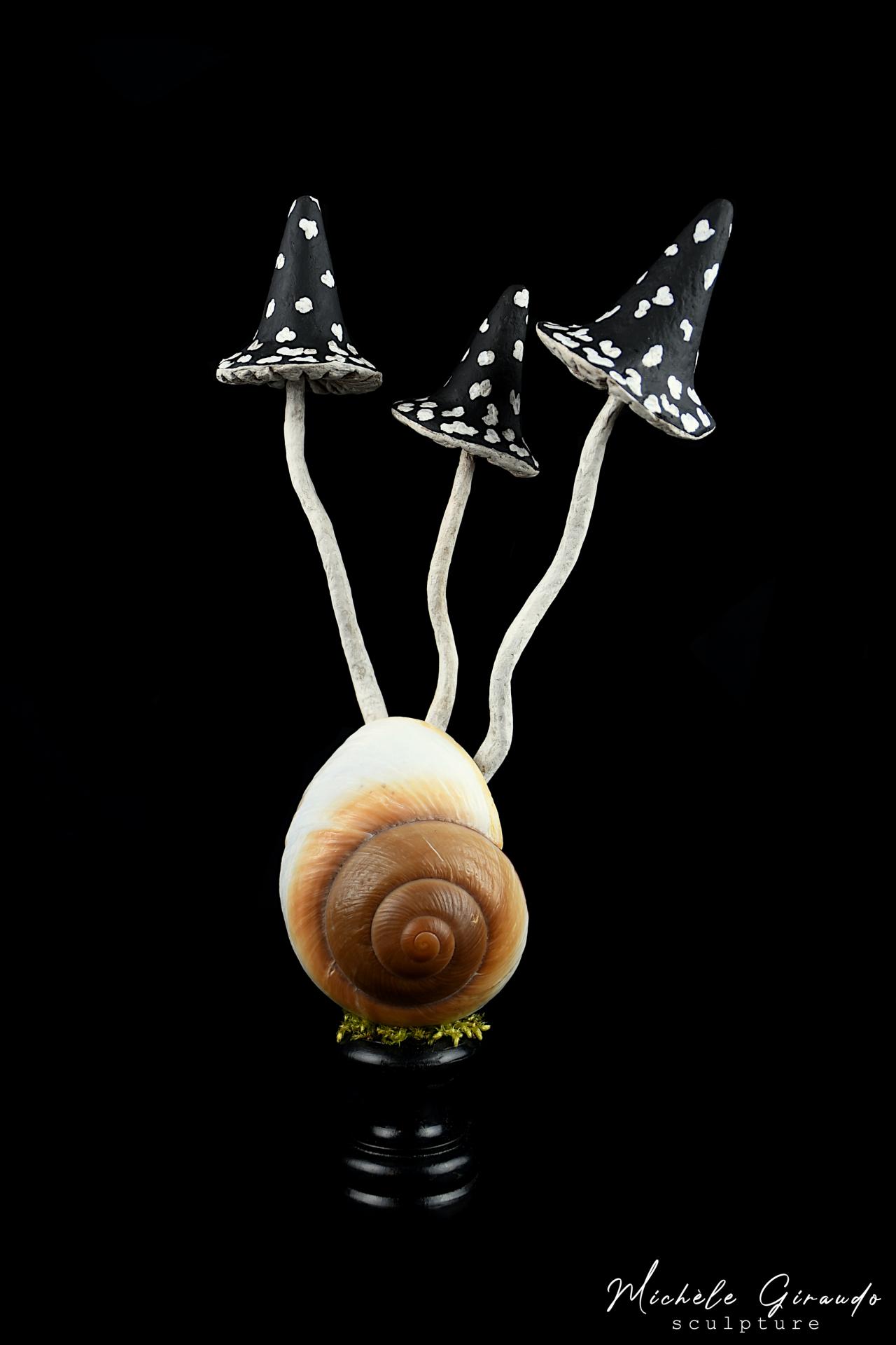 Ryssota mushrooms n 2 par michele giraudo