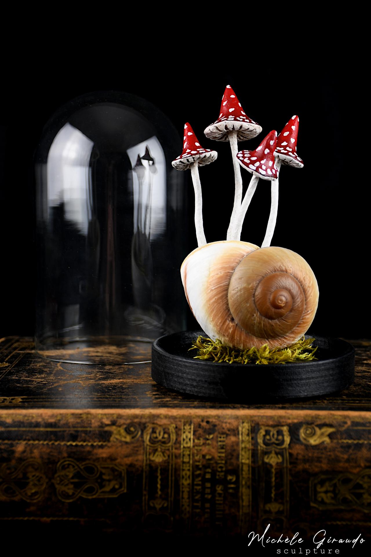 Ryssota mushrooms n 3 par michele giraudo