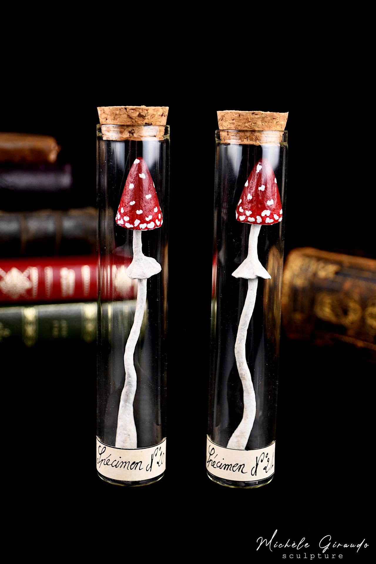 Specimens en tube n 20 et 21