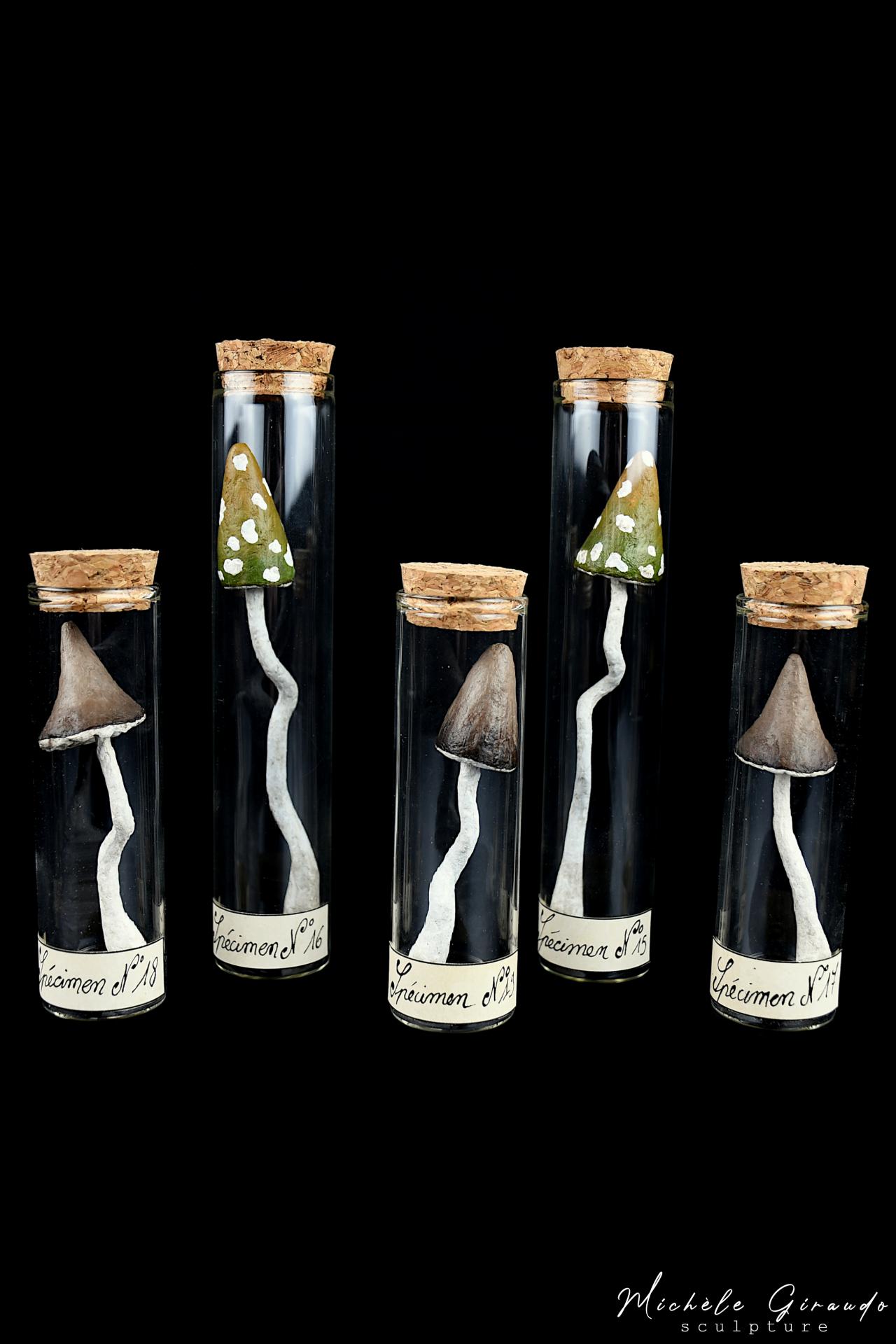 Specimens n 15 16 17 18 19 par michele giraudo 1