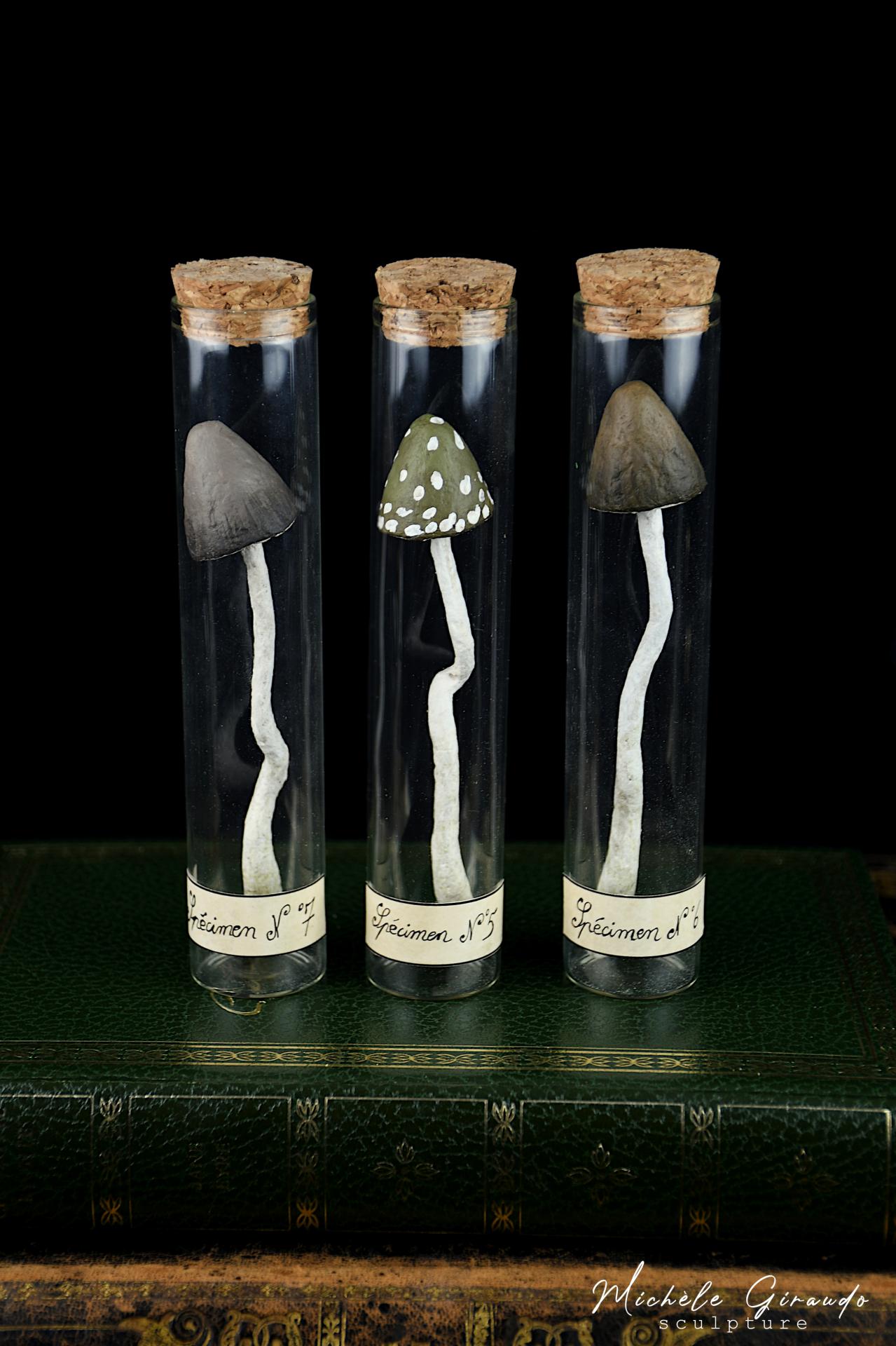 Specimens n 5 6 7 papier mache par michele giraudo 1