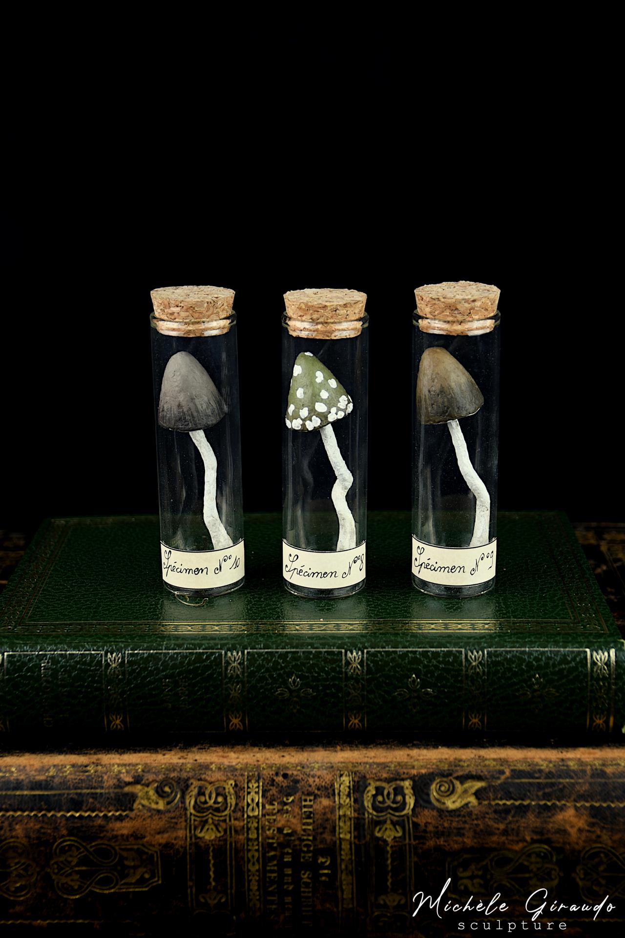 Specimens n 8 9 10 papier mache par michele giraudo 1